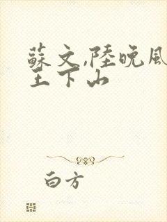 苏文,陆晚风阎王下山