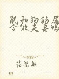 鼠和狗的属相适合做夫妻吗