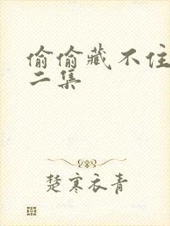 偷偷藏不住第十二集封面