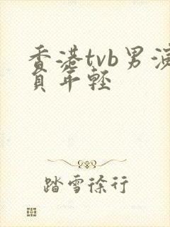 香港tvb男演员年轻