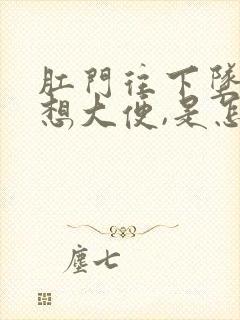 肛门往下坠,总想大便,是怎么回事封面