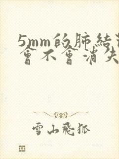 5mm的肺结节会不会消失