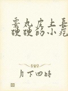 睾丸皮上长一个硬硬的小疙瘩