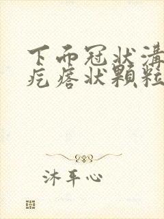 下面冠状沟长肉疙瘩状颗粒