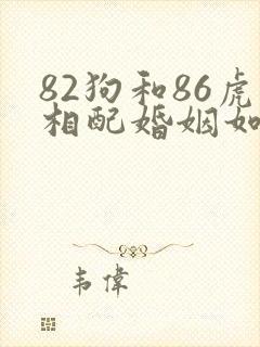 82狗和86虎相配婚姻如何
