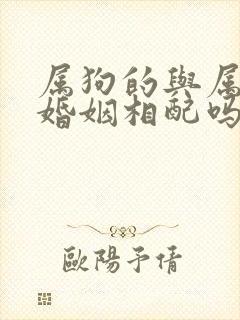 属狗的与属蛇的婚姻相配吗