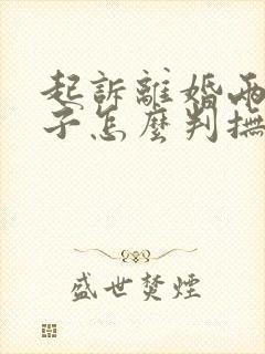 起诉离婚两个孩子怎么判抚养权