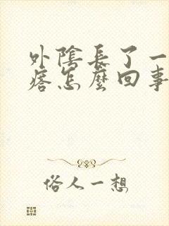 外阴长了一小疙瘩怎么回事