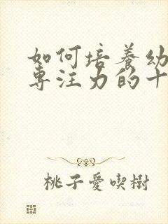 如何培养幼儿的专注力的十种方法