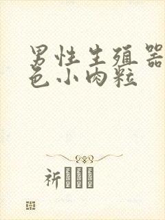 男性生殖器长白色小肉粒封面