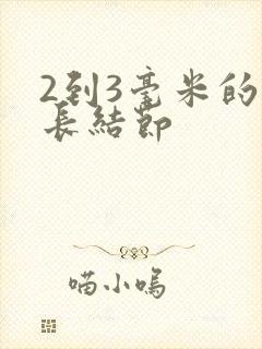 2到3毫米的肺长结节