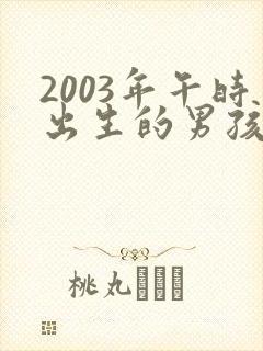2003年午时出生的男孩命运