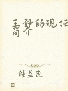 王静的现任丈夫简介