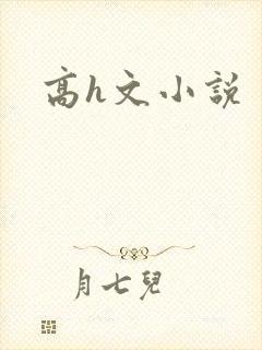 高h文小说封面