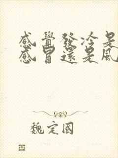 感觉发冷是风寒感冒还是风热感冒