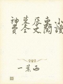 神墓辰东小说免费全文阅读下载