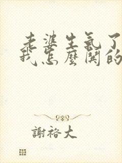 老婆生气了不理我怎么哄的句子