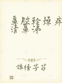 鼻腔干燥疼痛流清鼻涕封面