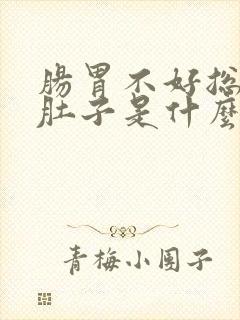 肠胃不好总是拉肚子是什么原因