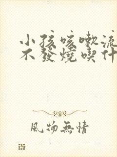 小孩咳嗽流鼻涕不发烧吃什么药