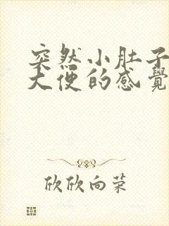 突然小肚子疼想大便的感觉怎么回事