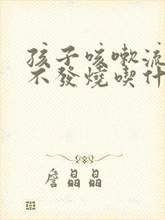 孩子咳嗽流鼻涕不发烧吃什么药