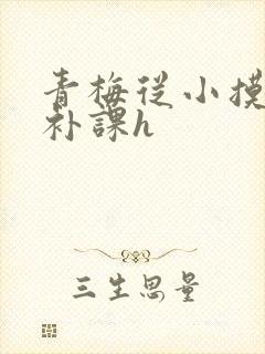 青梅从小摸到大补课h封面
