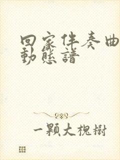 回家伴奏曲g调动态谱