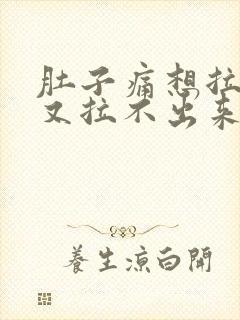 肚子痛想拉大便又拉不出来是什么原因