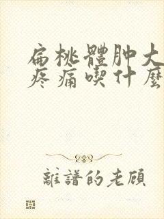 扁桃体肿大吞咽疼痛吃什么药