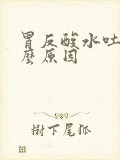 胃反酸水吐是什么原因