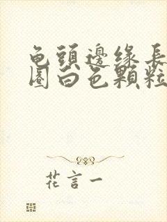 龟头边缘长了一圈白色颗粒