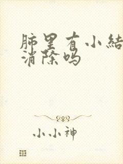 肺里有小结节会消除吗