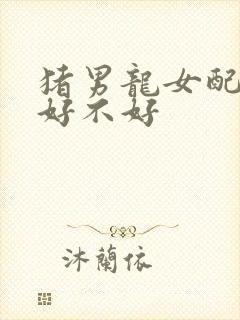 猪男龙女配婚姻好不好