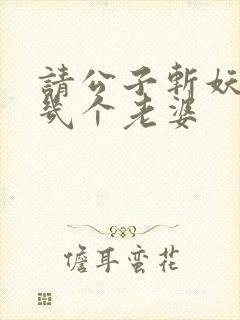 请公子斩妖男主几个老婆