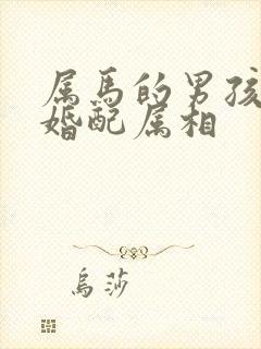 属马的男孩最佳婚配属相