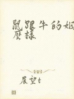 鼠跟牛的姻缘怎么样封面