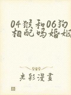 04猴和06狗相配吗婚姻封面