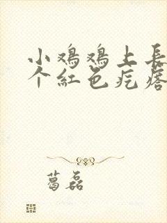 小鸡鸡上长了一个红色疙瘩