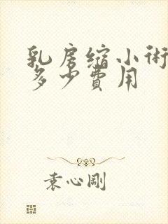 乳房缩小术需要多少费用