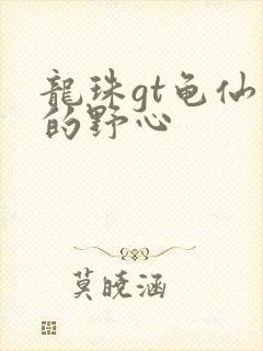 龙珠gt龟仙人的野心