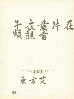 午夜黄片在线视频观看