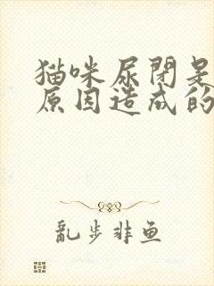 猫咪尿闭是什么原因造成的封面