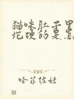 猫咪肚子里有一坨硬的是怎么回事