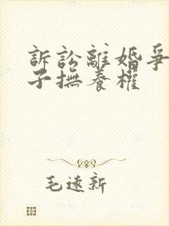 诉讼离婚争夺孩子抚养权