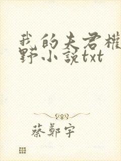 我的夫君权倾朝野小说txt