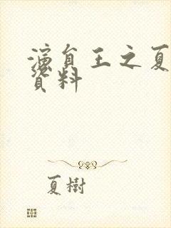 演员王之夏个人资料封面