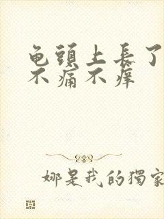 龟头上长了红点不痛不痒