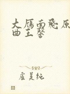 大雁南飞原唱歌曲王馨