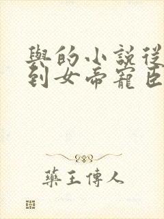 与的小说从赘婿到女帝宠臣